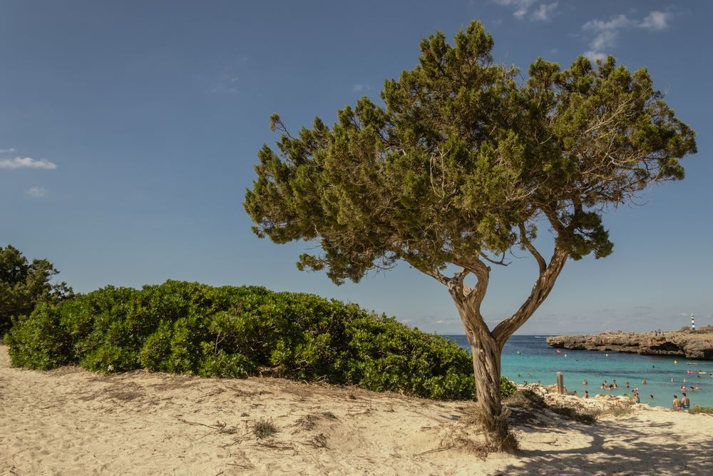 Cala en Bosch à Minorque