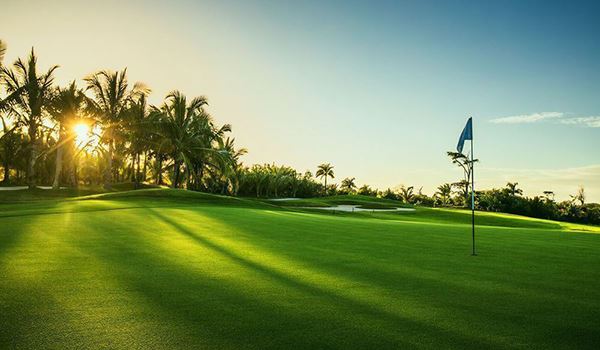Terrains de golf