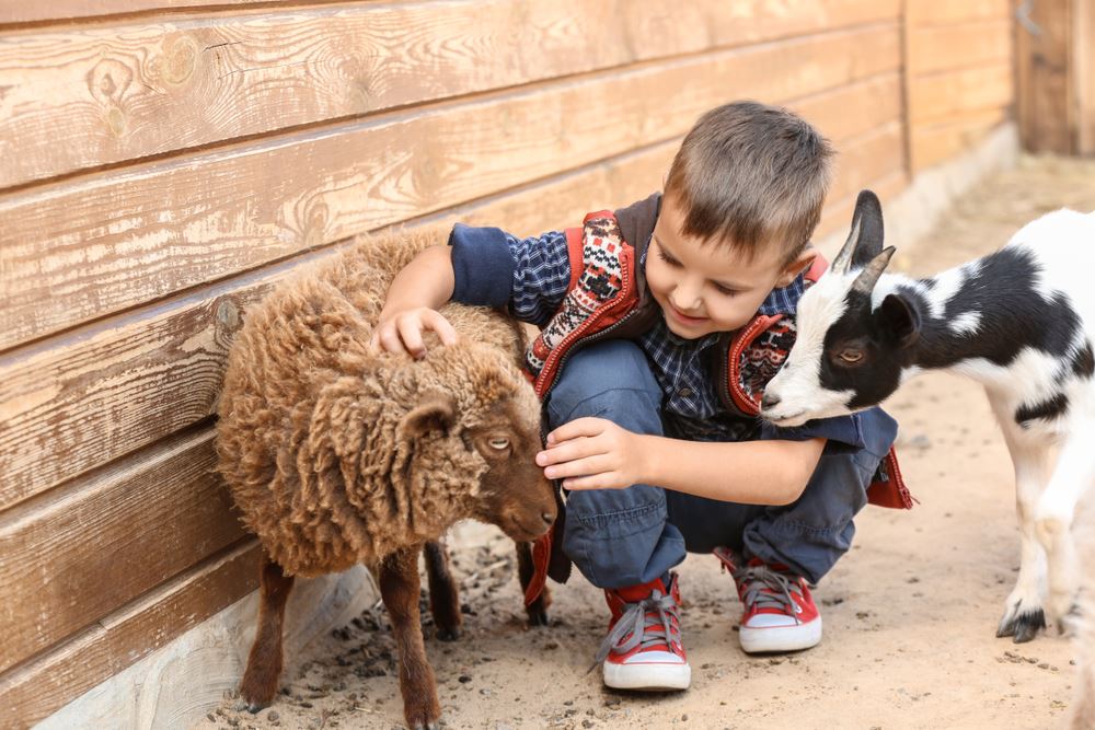 Zoo pour enfants